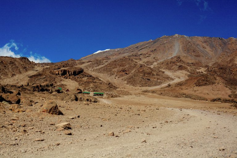 7 Days Rongai Route Kilimanjaro Climb