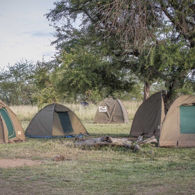 Camping Safari Option in Tanzania
