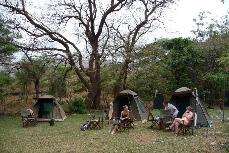 Safari partagé de 6 jours en Tanzanie