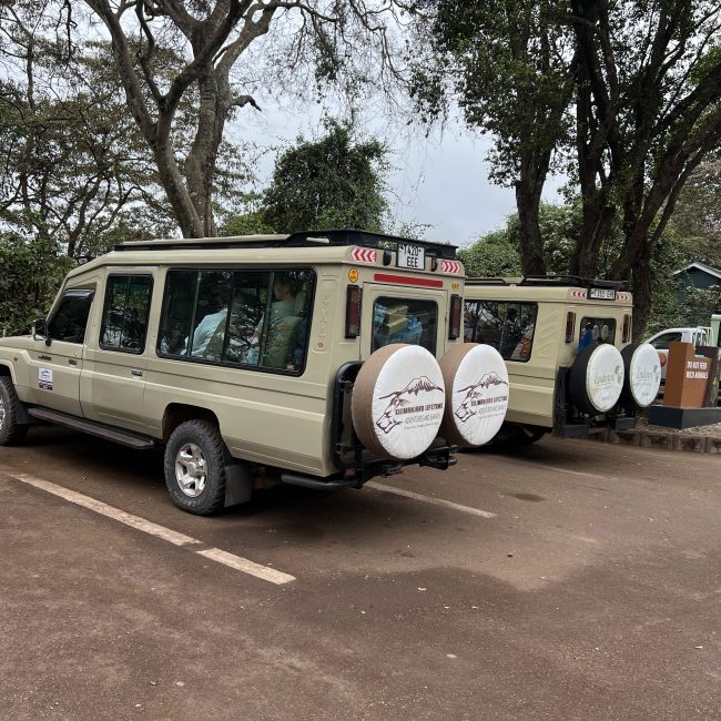 5 days tanzania lodge safari tours