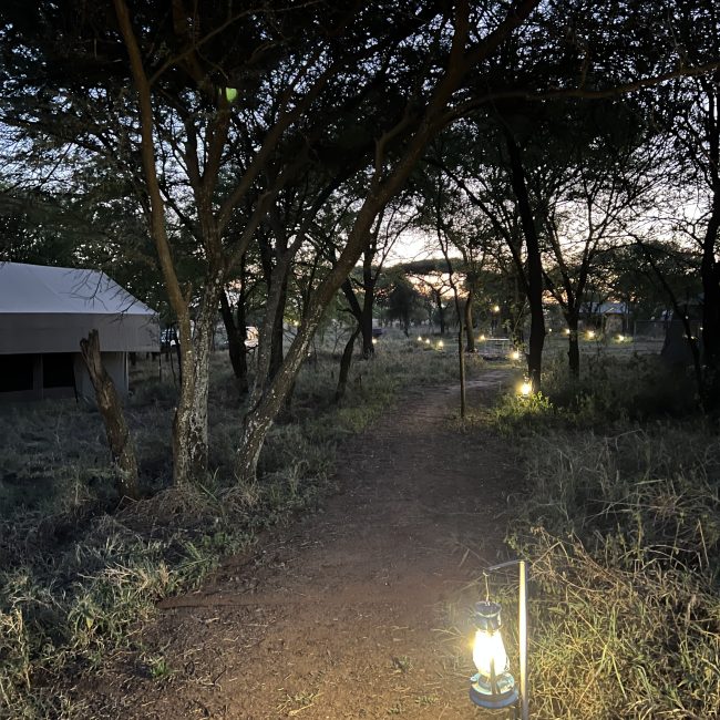 tanzania lodge safari tours