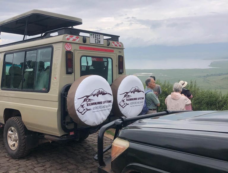 2 Days Tarangire and Ngorongoro Crater Safari