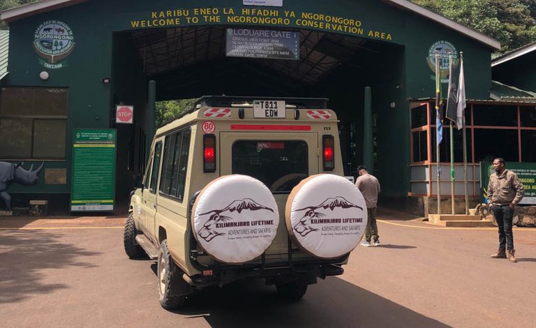 2 Days Tanzania Luxury Safari