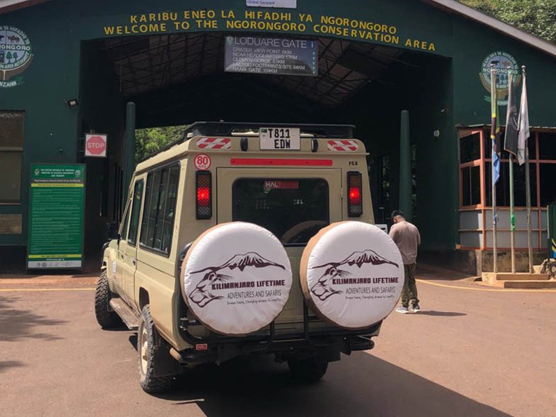 2 DAYS TANZANIA SAFARI
