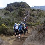 Kilimanjaro Trek experiences