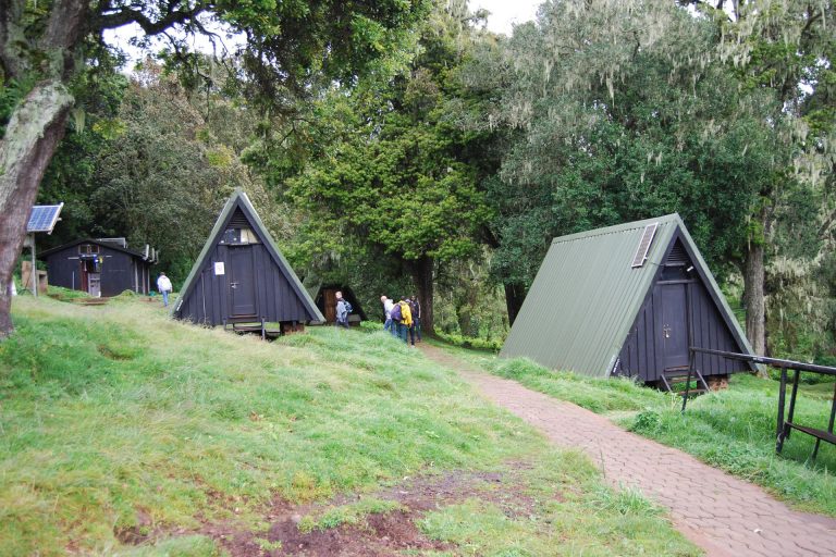 Marangu Kilimanjaro Day Hike