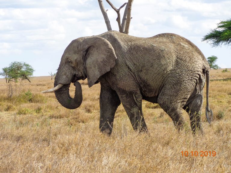 6 Days Tanzania Cultural Tour & Camping Safari
