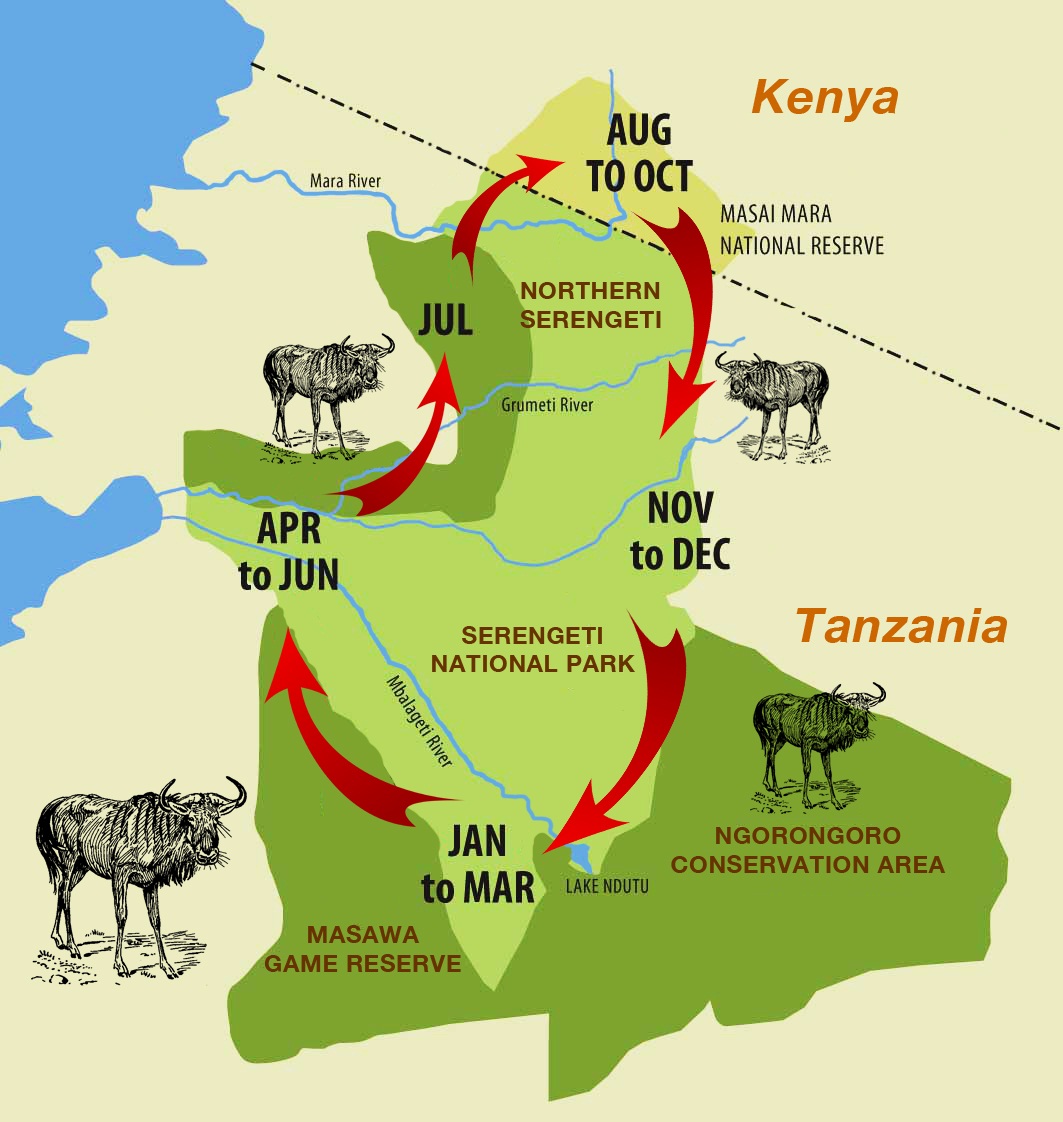 Serengeti Migration Safari cycle
