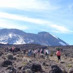How to Get to Mount Kilimanjaro from Dar es Salaam