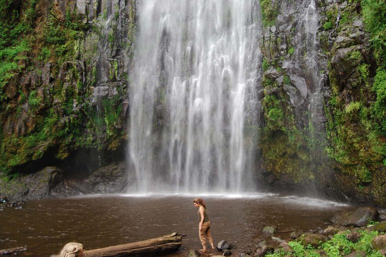 Materuni Waterfalls & coffee Day Tour