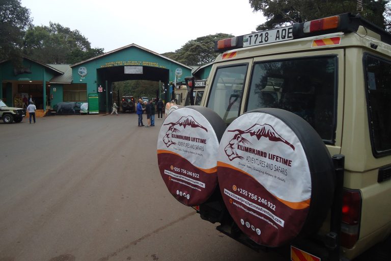 Day Trip to Ngorongoro Crater Cost