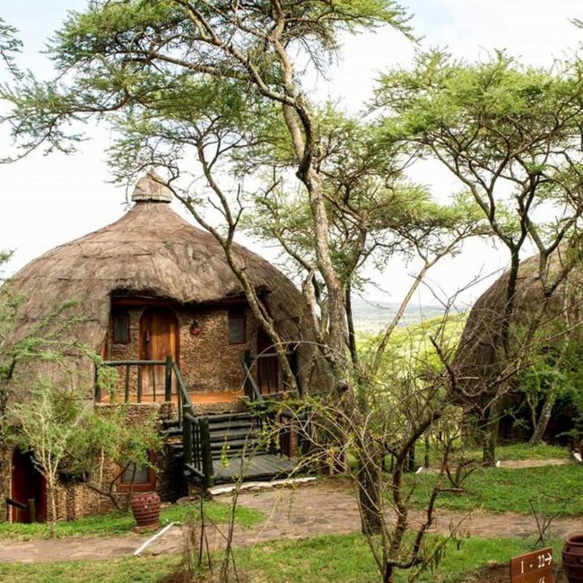 4 Days Tanzania Mid-Range Safari Tour