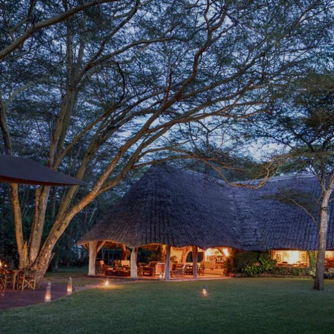 2 days tanzania group safari