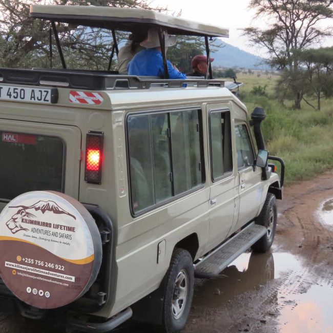 3 DAYS TANZANIA GROUP SHARING SAFARI FROM ARUSHA