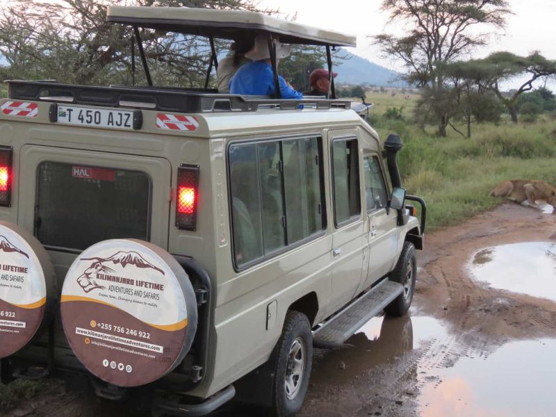 3 DAYS TANZANIA GROUP SHARING SAFARI FROM ARUSHA
