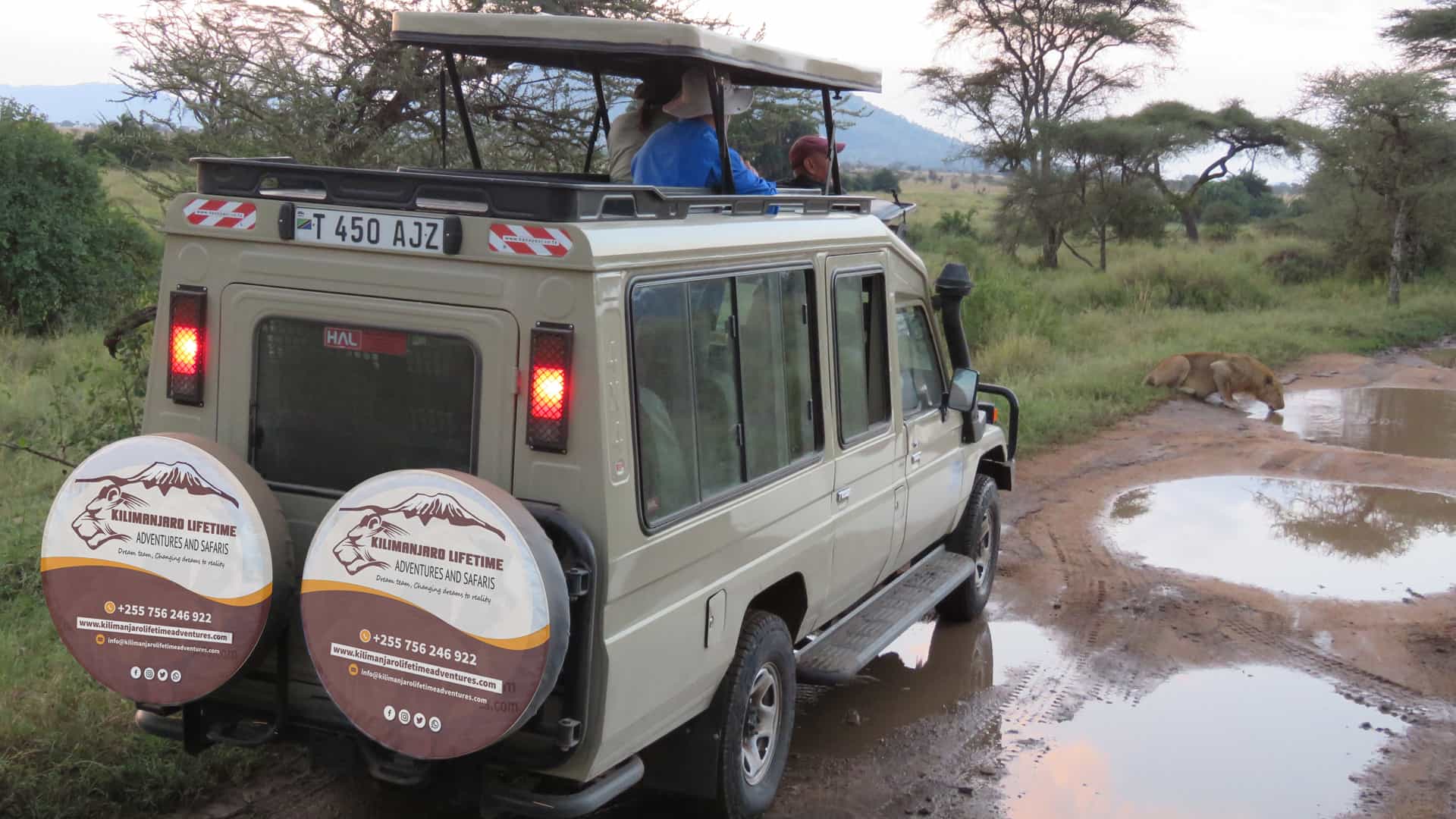 Tanzania Vehicles for Safari