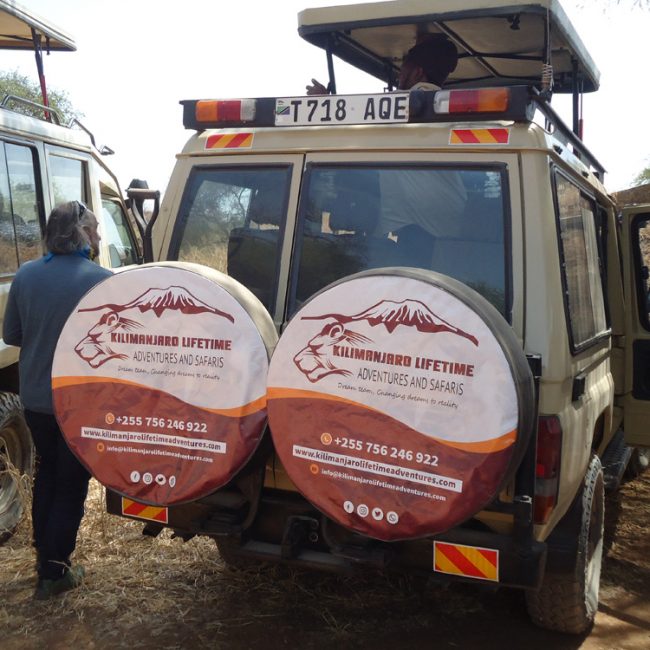 Tanzania Private game drive safari