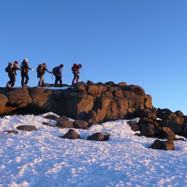7 Days Kilimanjaro Trek New Year's Eve Summit