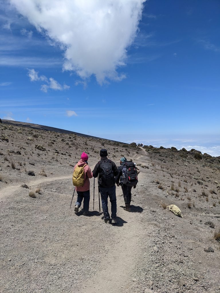 Do You Need to Take Diamox for Your Kilimanjaro Climb