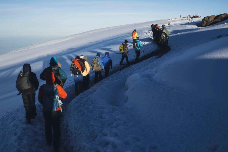 7 Days Lemosho Route Kilimanjaro Climb
