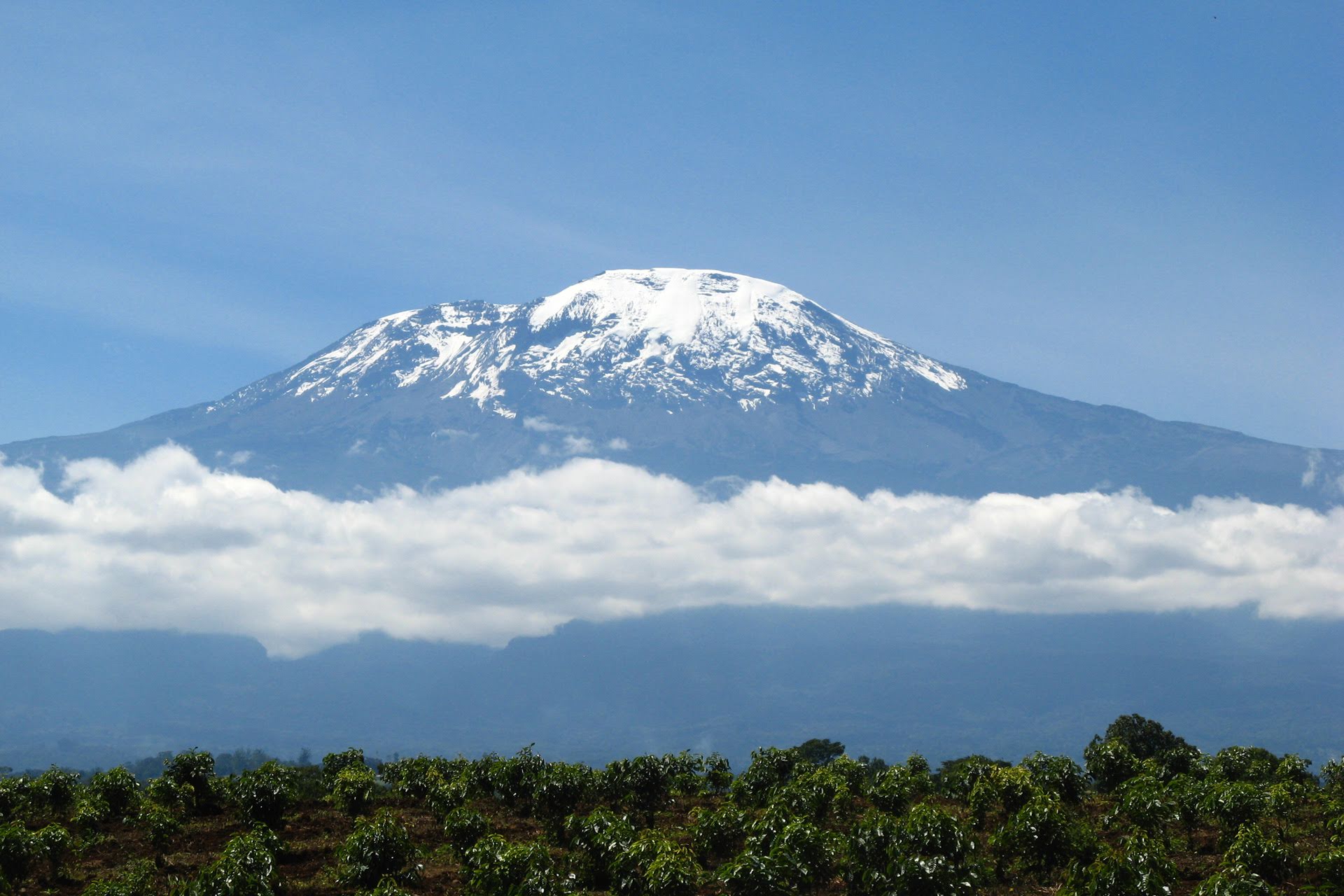 Snow-capped mountain above green fields from kenya