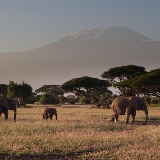 3 days safari from zanzibar