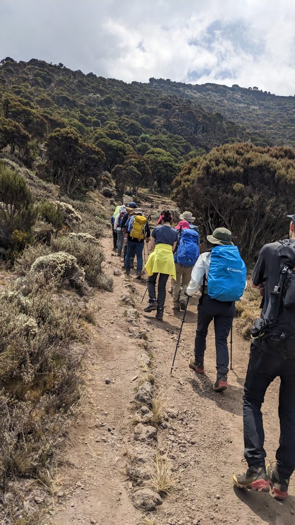 kilimanjaro day hike