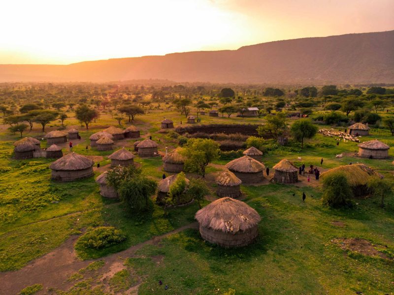 4 DAYS TANZANIA SAFARI