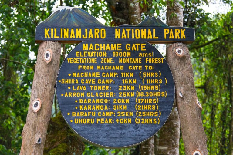 12-Day Kilimanjaro & Tanzania Safari Combo Adventure