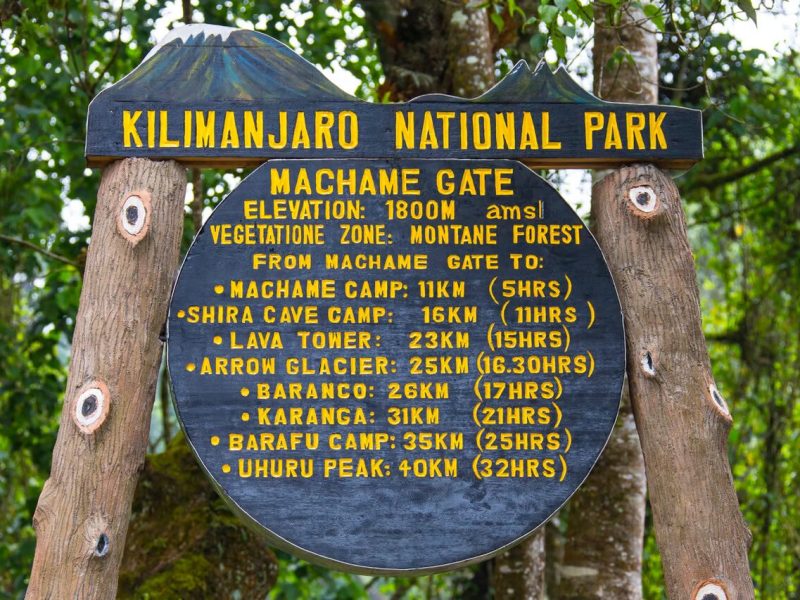 12-day adventure machame climb and tanzania safari