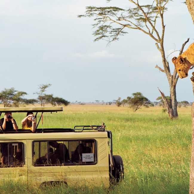 tanzania budget camping safari
