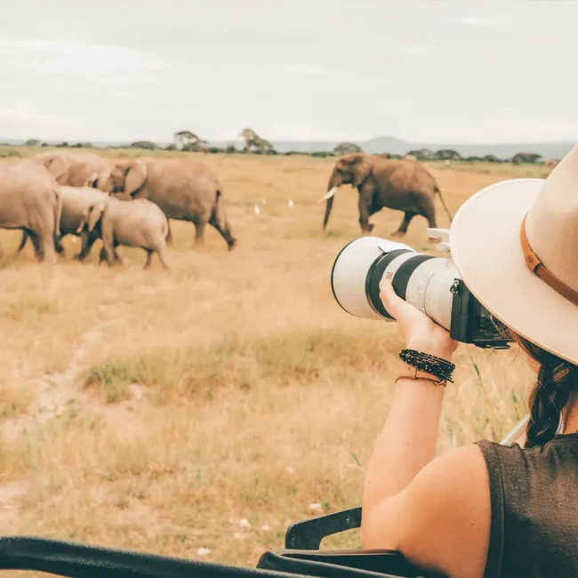 2 DAYS TANZANIA SAFARI