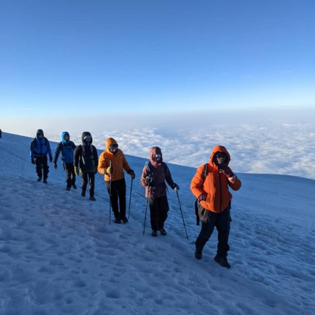 11 days kilimanjaro and safari adventure big five