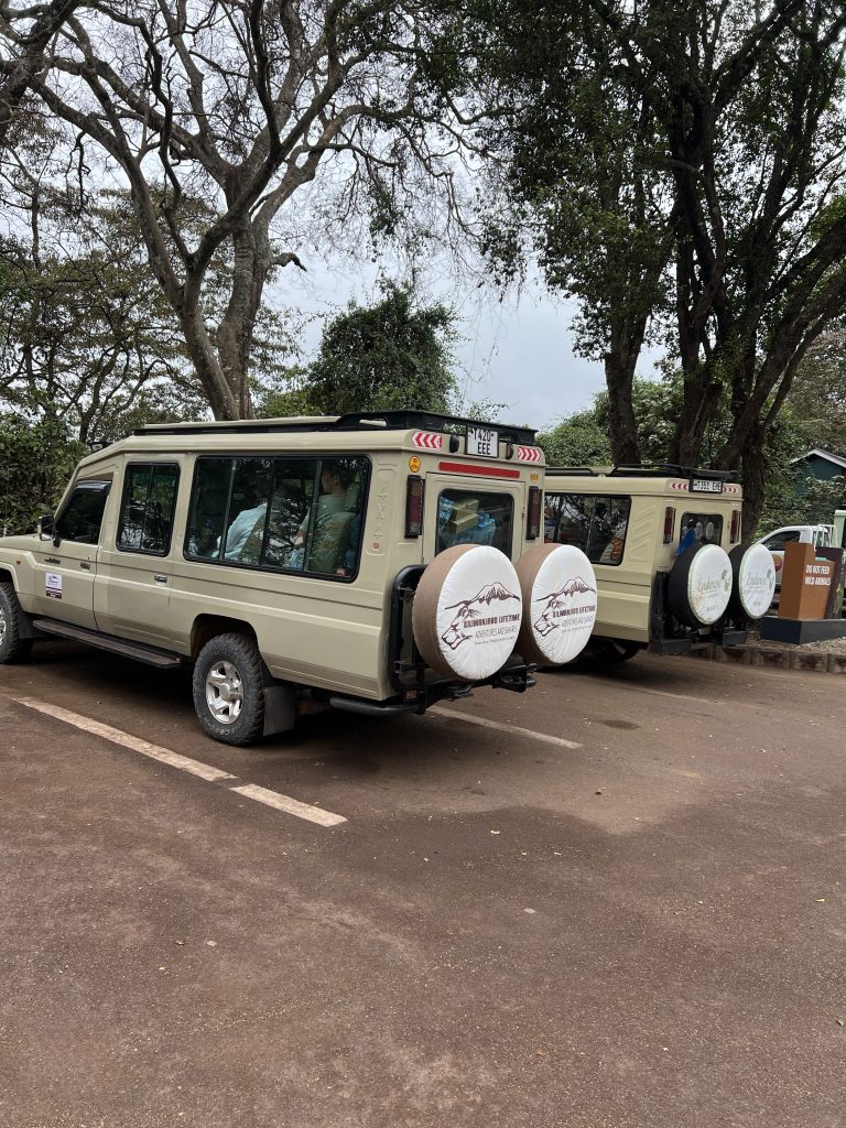 Tanzania Safari from Kenya
