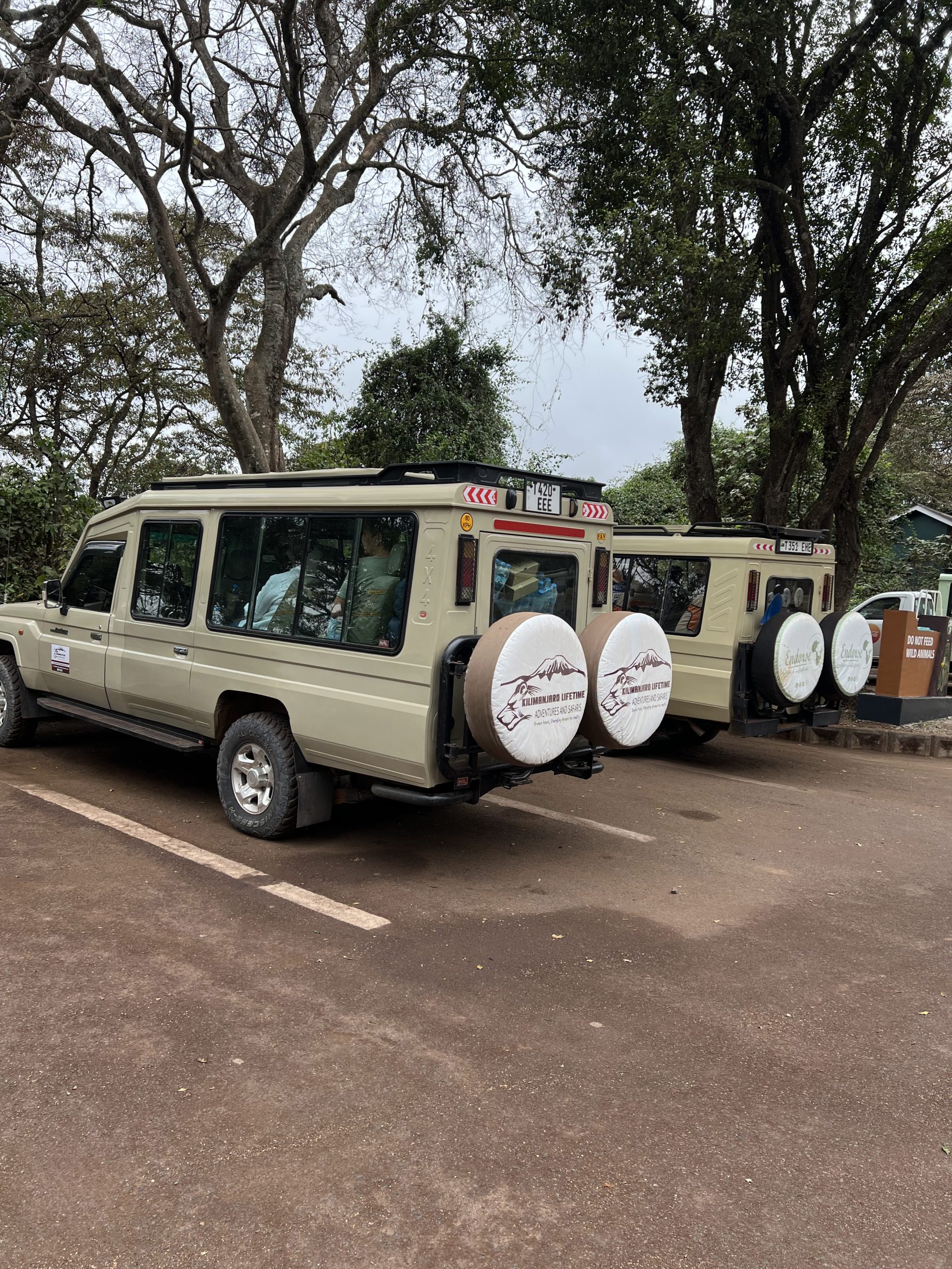 Safari