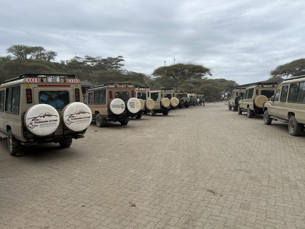 How to Plan a Tanzania Safari on a Budget