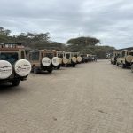 How to Plan a Tanzania Safari on a Budget