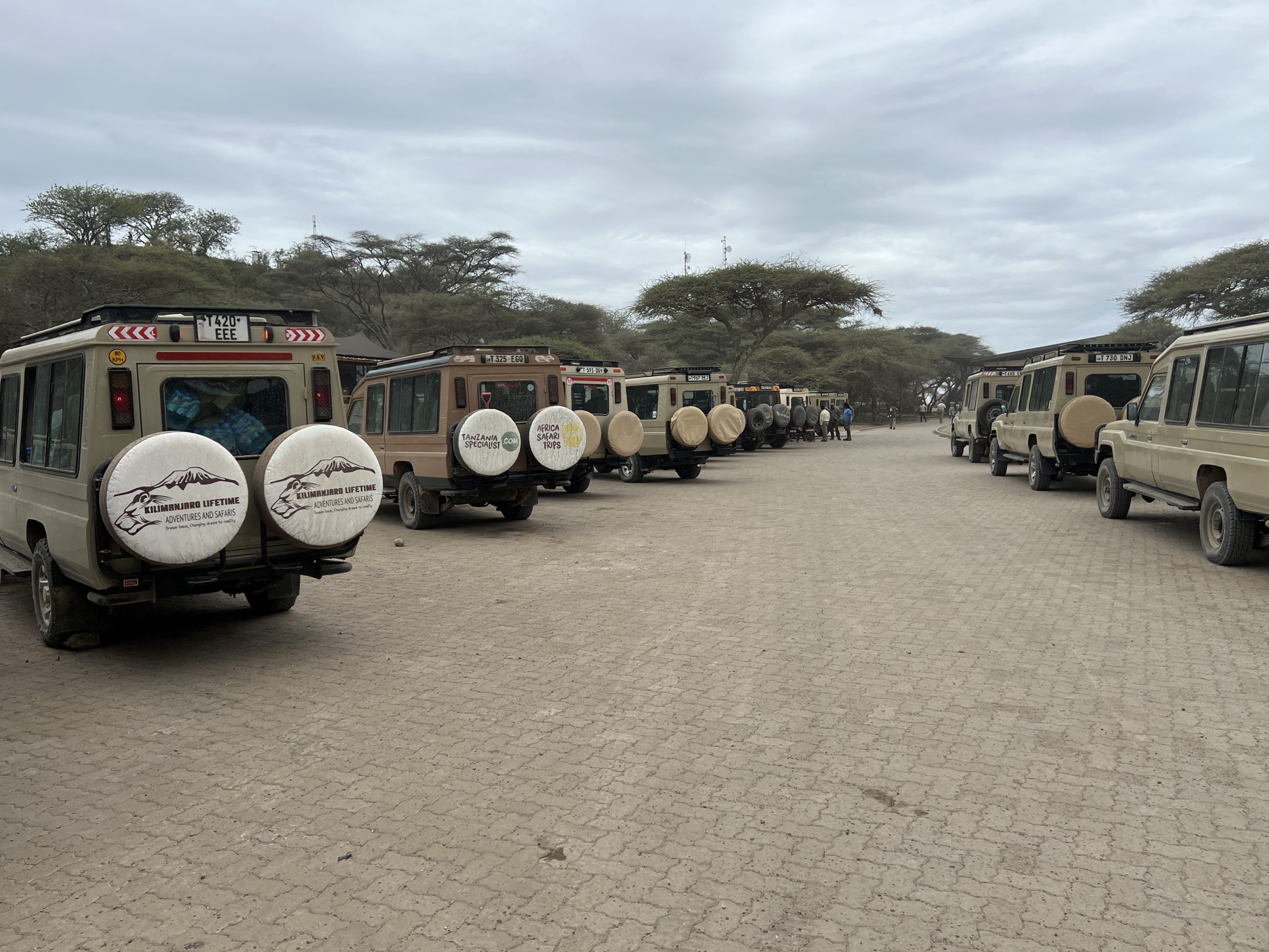 How to Plan a Tanzania Safari on a Budget