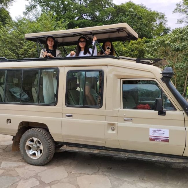 photographic safari