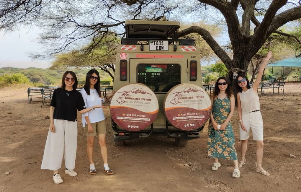 6 days tanzania lodge safari