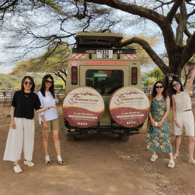 6 days tanzania lodge safari