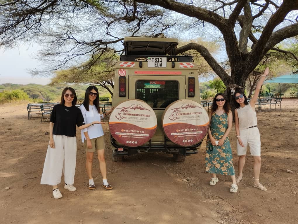 6 days tanzania lodge safari