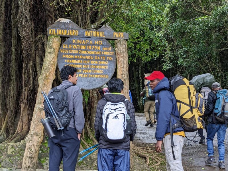 12-day kilimanjaro and tanzania safari combo adventure