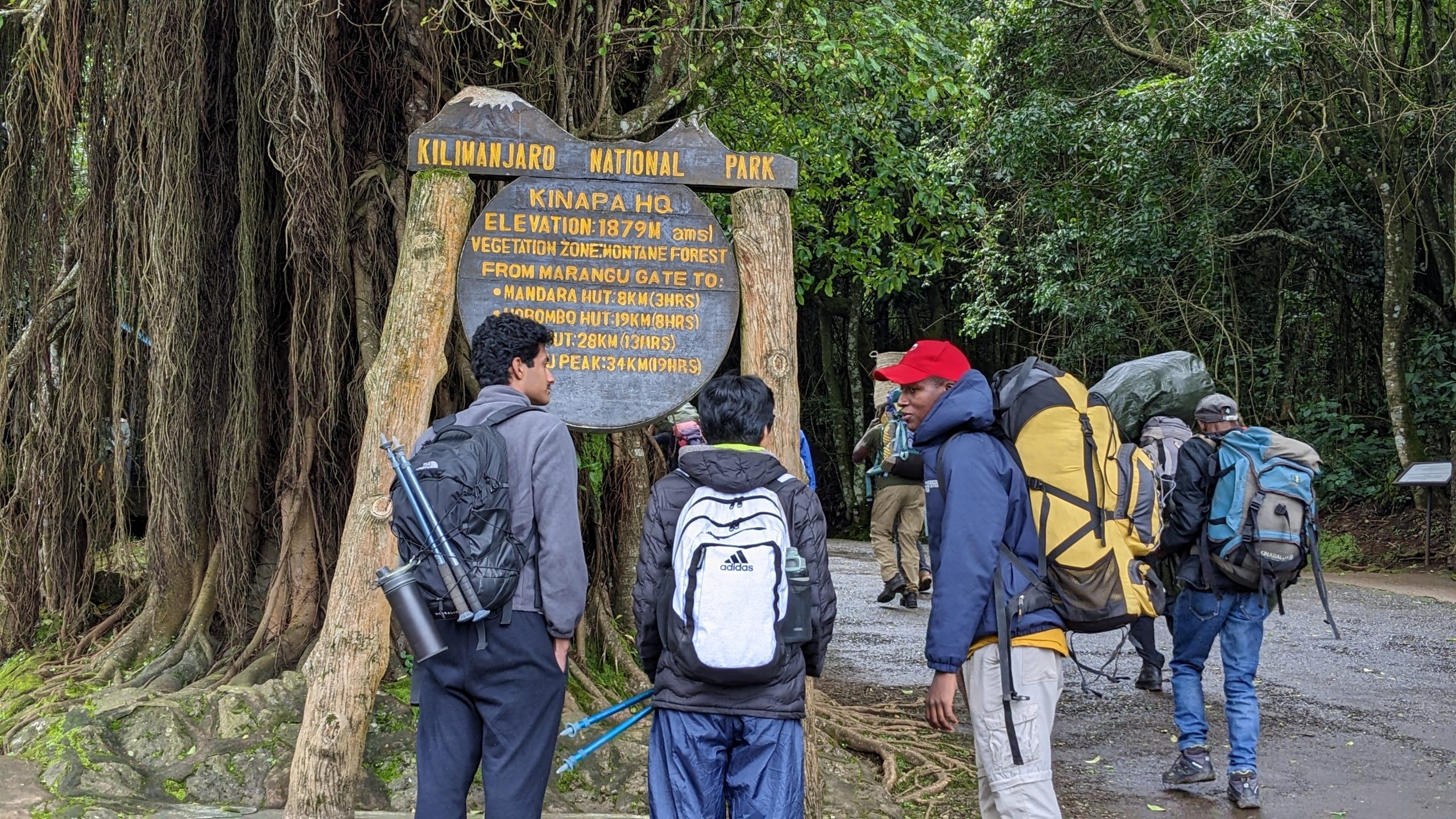 12-day kilimanjaro and tanzania safari combo adventure