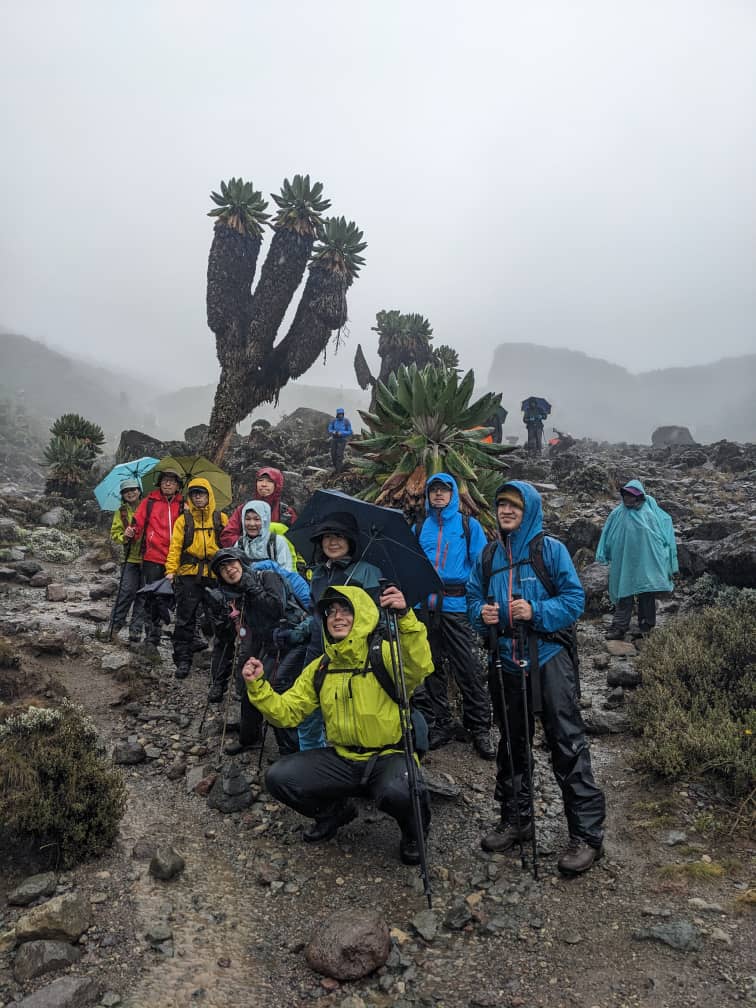 8 days lemosho route trek kilimanjaro