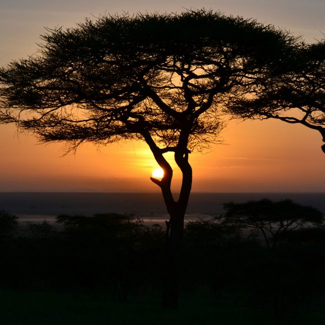 3 days safari tanzania