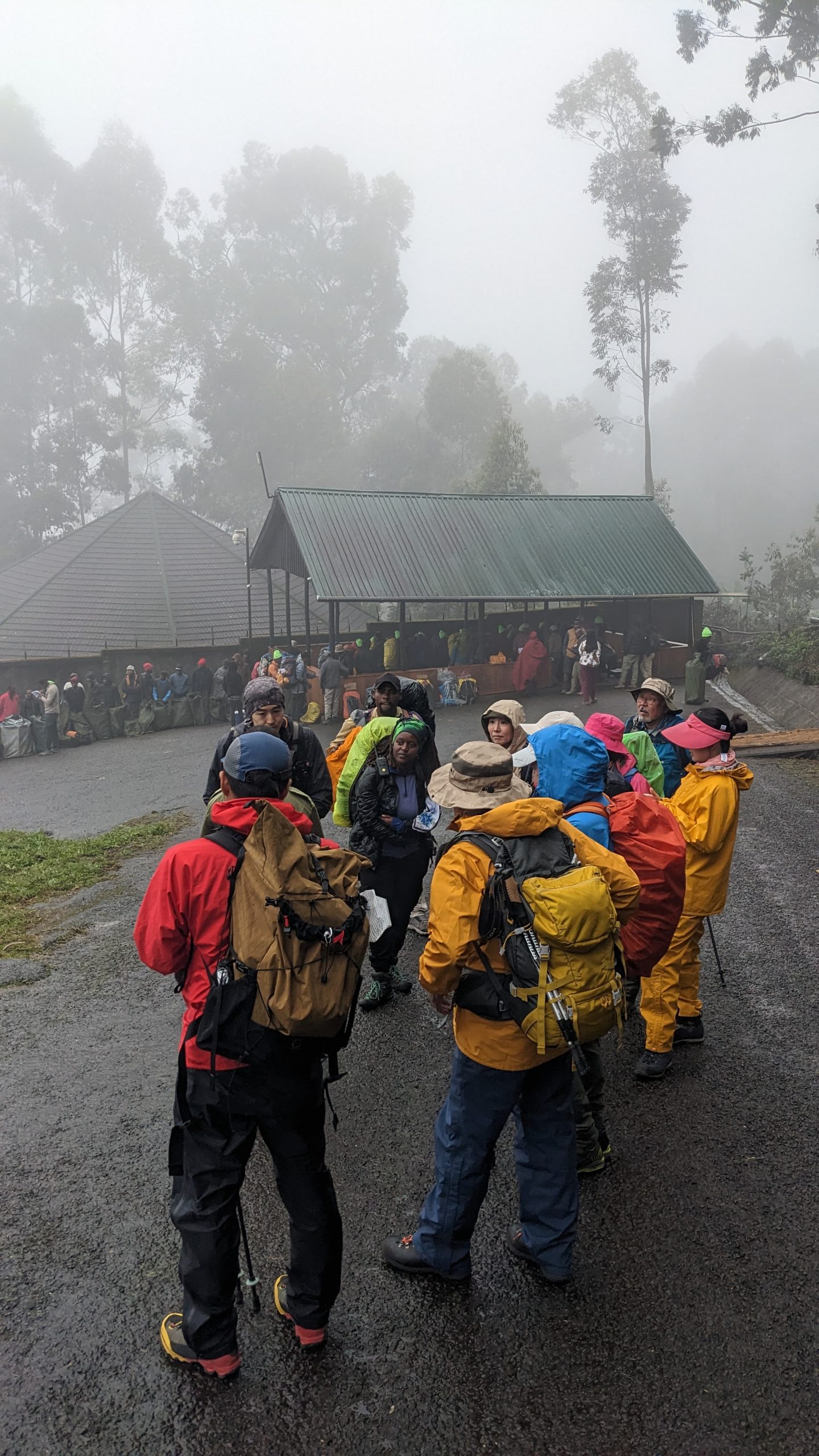 marangu route kilimanjaro