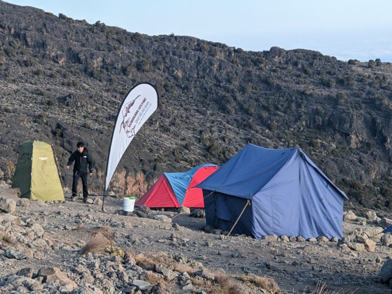 11-Day Mount Kilimanjaro Machame Route & Big 5 Safari Experience