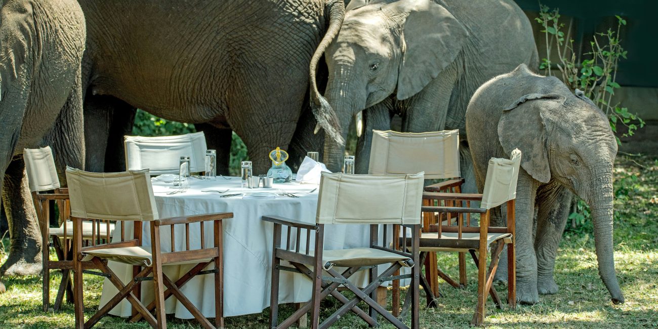 3-Day Serengeti Bush Dinner Safari
