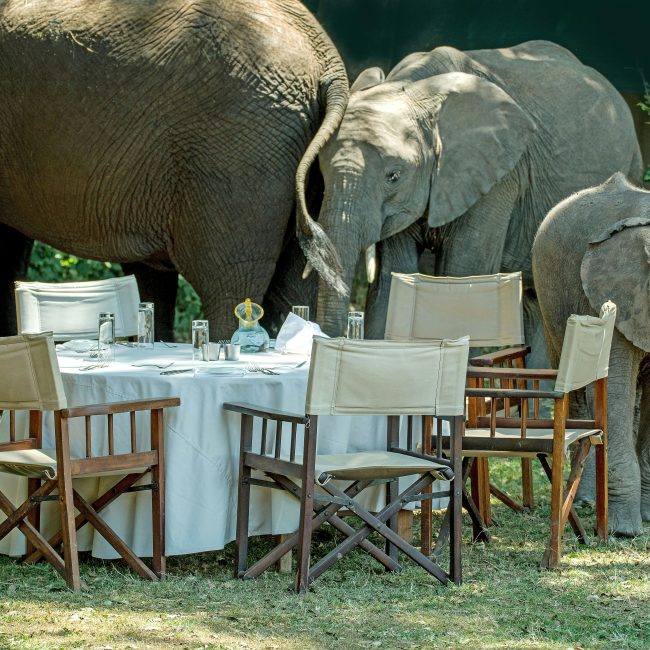 3-Day Serengeti Bush Dinner Safari